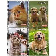 CADERNO-UNIVERSITARIO-10M-140F-
