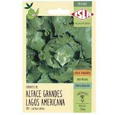 SEMENTE-ALFACE-AMERIC-0,25G-ISLA-----REF-43