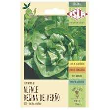 SEMENTE-ALFACE-REGINA-VERAO-0,25G-ISLA-